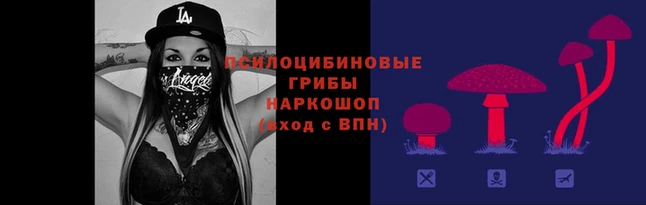 амф Абинск
