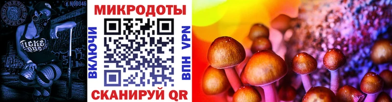 Псилоцибиновые грибы Psilocybe  Краснозаводск 